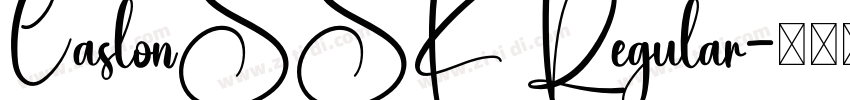 CaslonSSK Regular字体转换